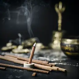 Imagine Stickuri parfumate Champa Magnolie