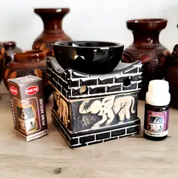 Imagine Lampa aromaterapie zid cu elefant trompa in sus