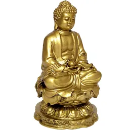 Buddha medicinei