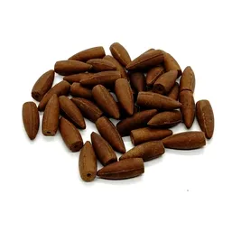 Conuri backflow parfumate Salvie 40 buc