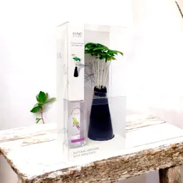 Odorizant cameră aromă de Lavandă