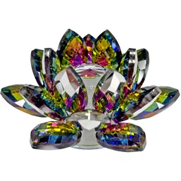 Lotus mullticolor cristal 