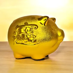 Pusculita porcusor pentru bani