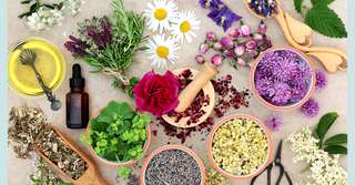 Arome dulci folosite în aromaterapie, beneficii ale florilor și plantelor afrodisiace