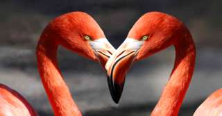 Știi să atragi iubirea în viața ta? Sfaturi pentru a amenaja dormitorul pentru un cuplu