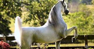 Imagine  Ai probleme în relație? E posibil să ai relație karmică negativă