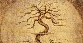 Imagine  Descoperă-ți karma după ziua nașterii pentru a avea destinul pe care ți-l dorești