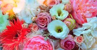 Imagine  Legende străvechi – povestea lui Bujor, fiul de împărat transformat în floare