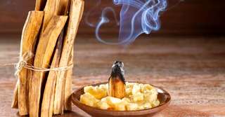 Imagine  Palo santo - beneficiile si proprietatile lemnului sfant