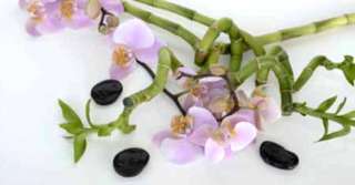 Imagine  Ritualuri, tradiții și superstiții pentru femeile ce-și doresc să se căsătorească