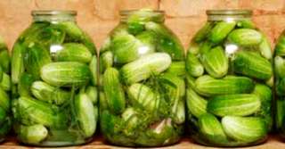 Imagine  Murături pentru orice sezon și pentru ospățuri bogate - Castraveți bulgărești