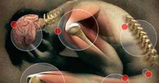 Imagine  Corpul ne transmite frecvent semnale de alarmă! Află care sunt acestea