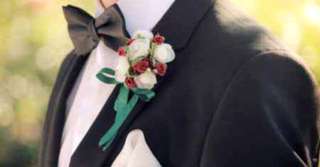 Imagine  Cel mai bun soț din zodiac. Bărbatul care nu înșală