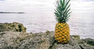 Ananasul – fructul dulce acrișor cu multiple beneficii
