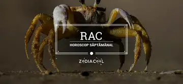 Horoscop saptamanal 9-15 Decembrie 2019 pentru nativii din Rac