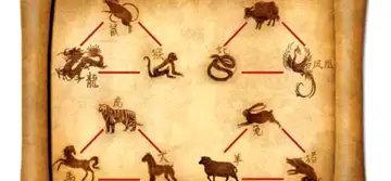 Secretul relațiilor care au succes: aliați în zodiacul chinezesc
