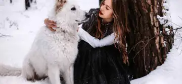 Zodii cu noroc și zodii cu ghinion în ANUL CÂINELUI DE PĂMÂNT, anul 2018