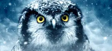 Calendar ianuarie 2019. Zile în care nimic nu merge bine 