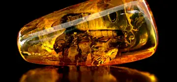 Misteriosul chihlimbar – ajutor extrem pentru ameliorarea durerilor de cap