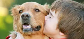 Ce animal de companie se potrivește cel mai bine pentru copilul tău