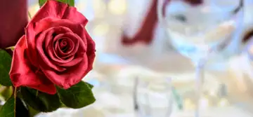 Critică în dragoste – Fecioară 