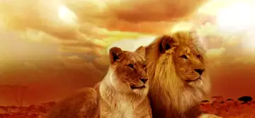 Pasiune și dezinvoltură – Leu, cum se exprimă cel mai bine acești nativi