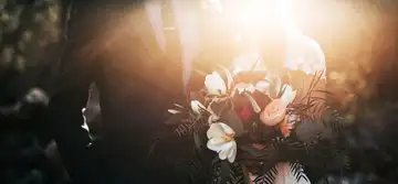 Cum să îți găsești jumătatea sau să îți oficializezi relația