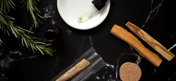 Arome fresh din plante care aduc beneficii uleiurilor în aromaterapie