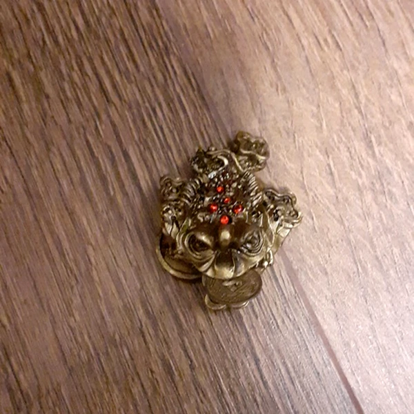 Broasca feng shui cu Ru Yi, set broscuta aducatoare de bani cu moneda, obiect decor auriu 5 cm