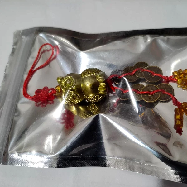 Bufnita cu nod mistic si monede norocoase, amuleta feng shui pentru intelepciune si invatare, auriu snur rosu