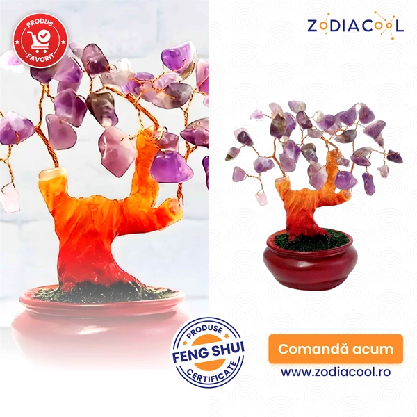 Copacei decorativi piatra Ametist, cristalul divinitatii, ghiveci 12 cm