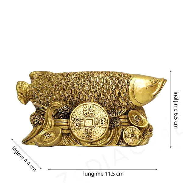 obiecte-feng-shui-crapul-moneda-1552