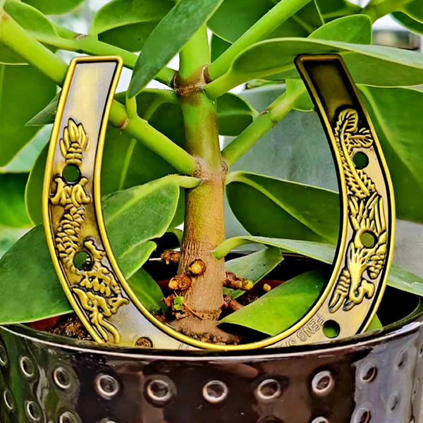 Potcoava norocoasa, amuleta Feng Shui cu phoenix si dragon pentru noroc in casa si birou, metal auriu vintage 10cm