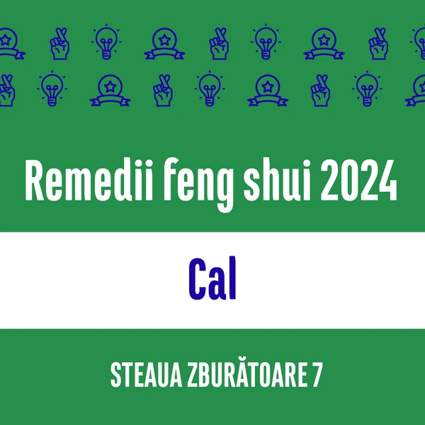 Carte remedii feng shui 2023 pentru zodia Cal, Steaua Zburătoare 8, livrare pe e-mail 