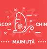 Zodiac chinezesc Maimuta 2021. Horoscop chinezesc 2021 Maimuta