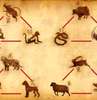 Secretul relațiilor care au succes: aliați în zodiacul chinezesc