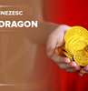 Bani, carieră și afaceri - femeia Dragon