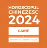 Amulete feng shui, remedii Caine 2024