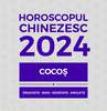 Horoscop chinezesc 2024 Cocos bani, munca si cariera