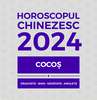 Amulete feng shui, remedii Cocos 2024