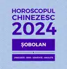 Amulete feng shui, remedii Sobolan 2024