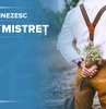 Dragoste și relații - bărbatul Mistreț
