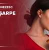 Bani, carieră și afaceri - femeia Șarpe