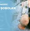 Zodia Sobolan dragoste. Horoscop barbatul Sobolan 
