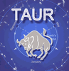 Taur în zodiacul chinezesc. Corespondența zodiei taur în zodiacul chinezesc