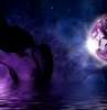 Horoscop luna ianuarie 2021