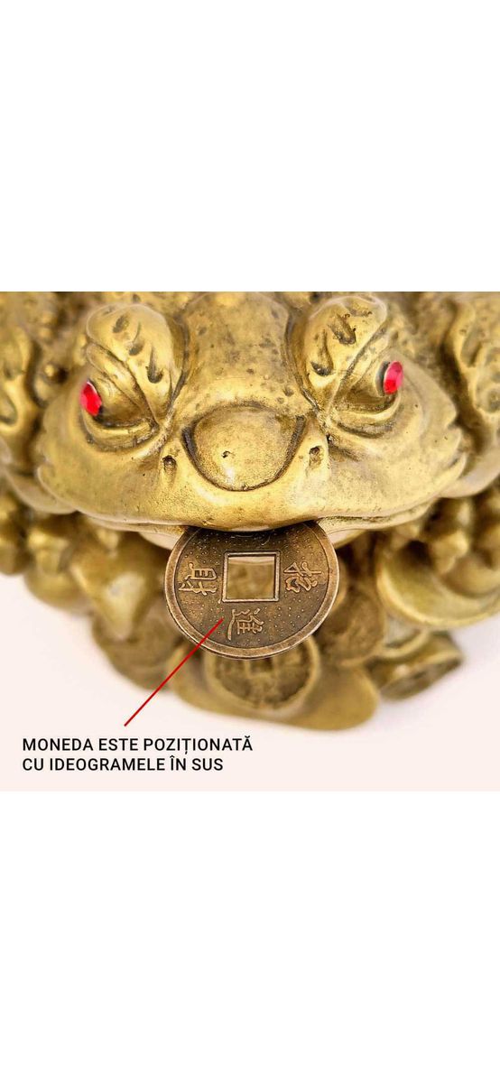 Broasca Feng Shui mare, amuleta banilor cu monede chinezesti, 13 cm