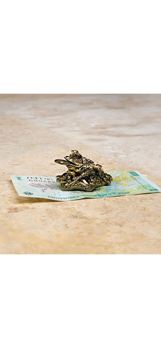 Broasca banilor cu Ru Yi și moneda, broscuta aducatoare de bani, 5 cm