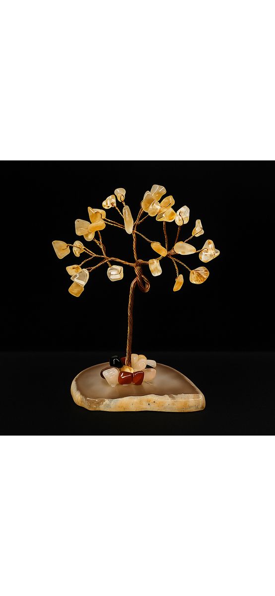 Copac pietre semiprețioase Citrin, piatra banilor, suport geoda plata agat natural