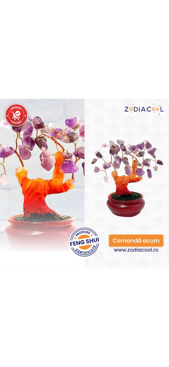 Copacei decorativi piatra Ametist, cristalul divinitatii, ghiveci 12 cm